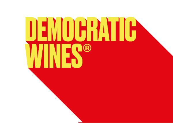 Logo footer